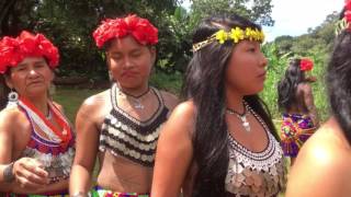 Tour of the Embera Indigenous Community in Panama [upl. by Kier]