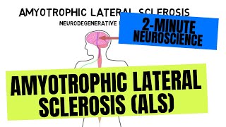 2Minute Neuroscience Amyotrophic Lateral Sclerosis ALS [upl. by Hatcher]