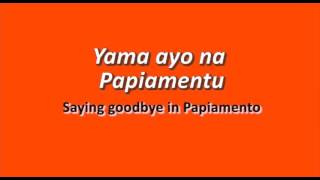 Learn Papiamento  Lesson 7  Useful words and Greetings [upl. by Traver889]