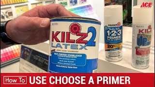 How To Choose A Paint Primer  Ace Hardware [upl. by Tnecnivleahcim406]