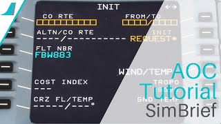 FBW ToolTips  SimBrief Tutorial [upl. by Anerom]