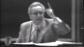 Viktor Frankl on Why Idealists Are Real Realists [upl. by Nogas220]