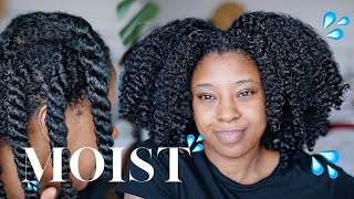 Moisturise DRY Natural Hair In 4 Easy Steps 🔢 Detailed wProduct Recommendations [upl. by Derwon]