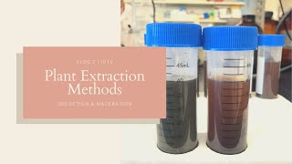 Plant Extraction Methods  Decoction and Maceration  JPTV [upl. by Jamaal]