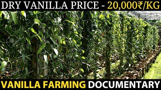 VANILLA FARMING  VANILLA CULTIVATION [upl. by Carlos]