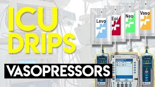 Vasopressors Part 1  ICU Drips [upl. by Berger]