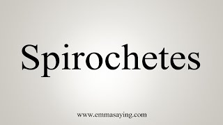 How To Say Spirochetes [upl. by Nyvlem]