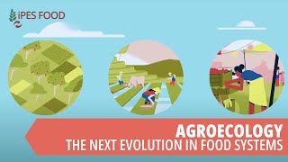 Agroecology  the next evolution in food systems [upl. by Llesirg]