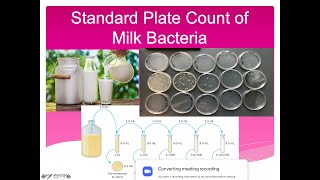 Standard Plate Count of Milk Bacteria Lab [upl. by Pedro647]