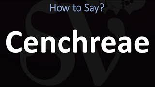 How to Pronounce Cenchreae CORRECTLY [upl. by Naj176]