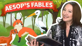 Aesops Fables  The Two Crabs [upl. by Dehlia]