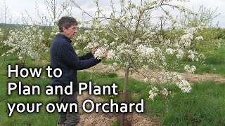 How to Plan and Plant your own Orchard [upl. by Rumilly83]