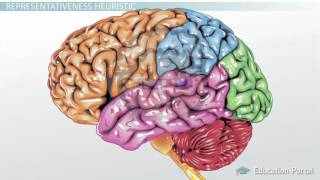 Types of Heuristics Availability Representativeness amp Base [upl. by Ellehcin400]