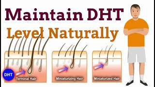 What Is DHT And How To Reduce It  Natural DHT Blockers  Hair Loss Treatment In HIndi [upl. by Assenaj537]