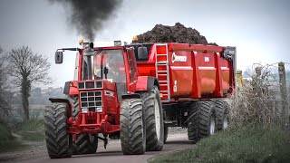 IH 1455XL  CHEVANCE  Transport de fumiermanure [upl. by Aunson]