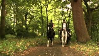 Castle Leslie Equestrian Centre [upl. by Nylssej]