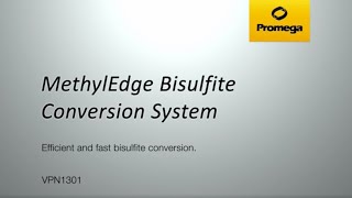 MethylEdge Bisulfite Conversion System Video [upl. by Eirrol]