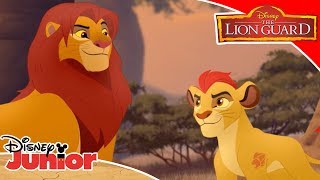 👊 Battle of the Pride  The Lion Guard  Disney Channel Africa [upl. by Nylirac817]