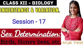 Class XII Biology  Inheritance and Variation  Sex Determination in birds and honey bees [upl. by Aicire355]