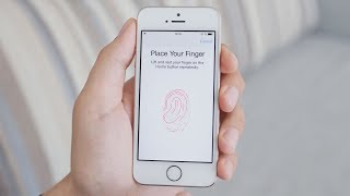 How Does Fingerprint Scanning Work [upl. by Baumbaugh970]