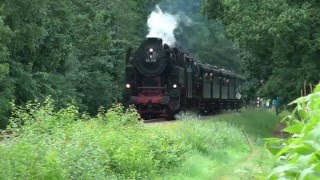 Stoomtrein fluit concert tijdens terug naar toen [upl. by Aicil693]