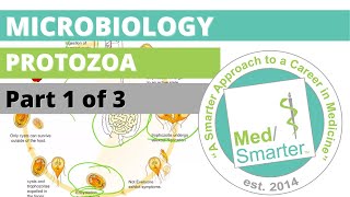 Protozoa  Microbiology  USMLE STEP 1  Part 1 of 3 [upl. by Trebleda820]