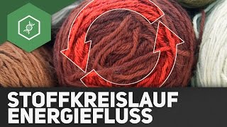 Stoffkreisläufe und Energiefluss  Ökologie [upl. by Eirrahs]