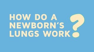 How Do A Newborns Lungs Work [upl. by Herod675]