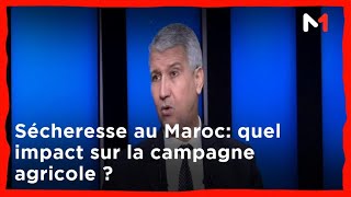 Sécheresse au Maroc quel impact sur la campagne agricole [upl. by Anneis]