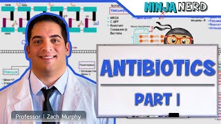 Antibiotics Cell Wall Synthesis Inhibitors Part 1 [upl. by Eneri786]