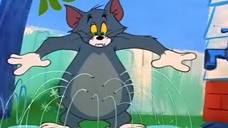 Tom and Jerry  The Egg and Jerry  Tom and Jerry Episode 99  T amp J [upl. by Macdonell]