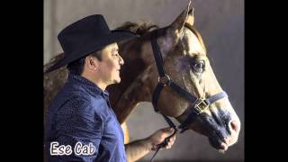 Ese Caballo es Robao  Walter Silva  Cosecha de Traviesa [upl. by Settle]