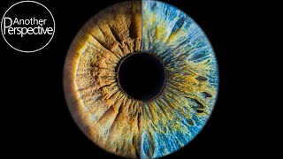 Eye Photography  How to take a sharp Image of your Iris [upl. by Ekusoyr822]