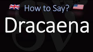 How to Pronounce Dracaena CORRECTLY [upl. by Stouffer655]