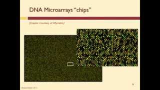 How Does a DNA Microarray Work [upl. by Ahseid]