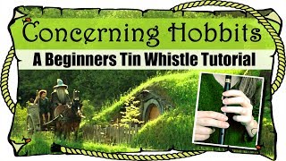 Lord Of The Rings  Concerning Hobbits  BEGINNERS TIN WHISTLE TUTORIAL [upl. by Ecaroh]