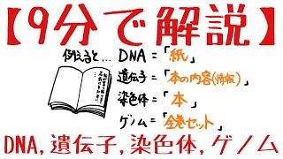 生物基礎 第2章 DNA、遺伝子、染色体、ゲノム [upl. by Eiggem764]