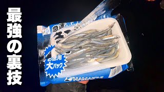 食べて美味しいあの魚がアホみたいに釣れる裏技 [upl. by Belinda]