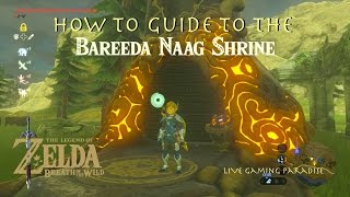 Breath of the Wild  Bareeda Naag Shrine Guide and Location [upl. by Siravaj]