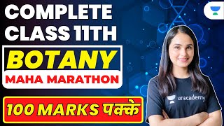 Complete Class 11th Botany  Maha Marathon  100 marks पक्के  NEET 2022  Gargi Singh [upl. by Eussoj]