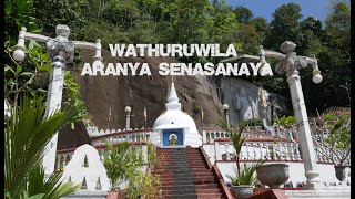 Tempel Wathuruwila Aranya Senasanaya  Sri Lanka [upl. by Ciredec]