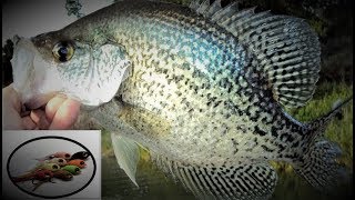 Fly Tying  Slab Crappie Silky Minnow [upl. by Kcirdaed]