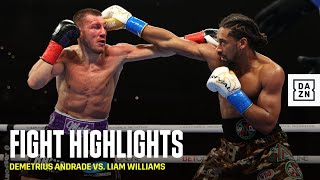 HIGHLIGHTS  Demetrius Andrade vs Liam Williams [upl. by Elag]