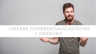 Lineare Differentialgleichung DGL 1 Ordnung  Einfach erklärt [upl. by Aneehs]