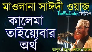 Bangla Waz Delwar Hossain Saidi কালেমা তাইয়েবার অর্থ। [upl. by Harty758]