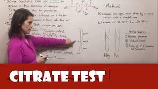 Citrate Test [upl. by Akiehsal209]