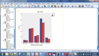 SPSS  Summarizing Two Categorical Variables [upl. by Nwahsit]