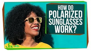 How Do Polarized Sunglasses Work [upl. by Cort398]