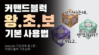 마인크래프트 커맨드 기본사용법  execute 기초13 [upl. by Molton]