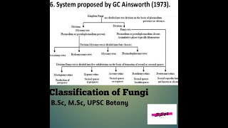 Classification of Fungi BSc MSc UPSC Botany [upl. by Gabriele]